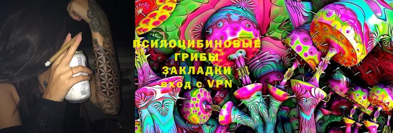 Псилоцибиновые грибы Psilocybe  Новая Ляля 